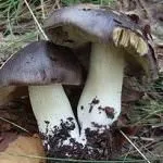 полезни полезни