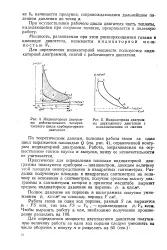 голяма голяма