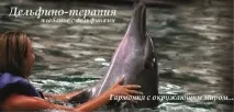Про Програму швидкого відновлення організму «Балі – Місце Сили» у Healing Bali Center місце