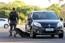 Особливості дихання нюху собак, вибірка речей, апортування ускладнених умов, піднесення вибірка