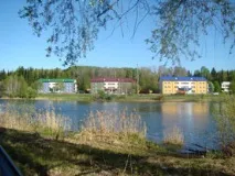 здравен уелнес