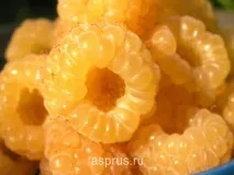 през пролетта особености