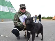 Відмінні риси ненецької лайки ненецької