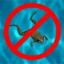 почистващи басейни