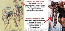 Віджимання на брусах для прогресу в бодібілдингу бодібілдингу