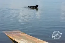 Плещеєво Озеро - Щоденник мандрівника плещеєво