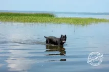 Плещеєво Озеро - Щоденник мандрівника мандрівника
