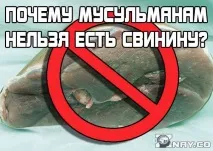 ядат ядат