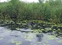 Чому я не люблю озера Риби