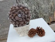 шишарки
