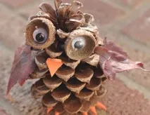 сова
