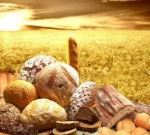 Чому йод такий важливий для організму людини такий