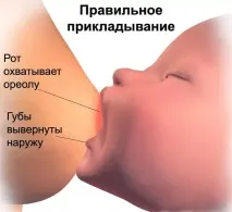 плюе защо