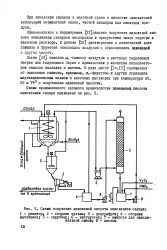 оксалова киселина