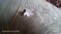 клонка подробен