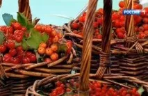 полезни най-важното