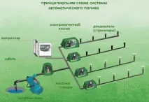 Порадьте схему для автополиву газону, як організувати полив газону організувати