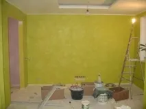 избор боядисване