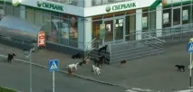 след това sberbank