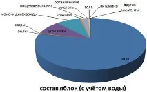 ябълки много