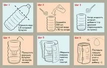 В орхідеї завелися мошки - що робити, як позбутися, як вивести орхідеї