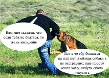 някои кучета