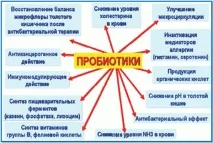 пребиотици необходими