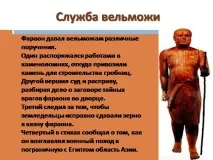живот живот