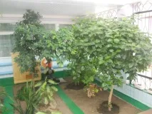 Предметно-розвиваюче середовище у нашому дитячому садку садку