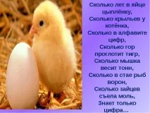 числа математически