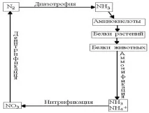 съединения съединения