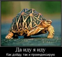 Просування сайту самостійно сайту