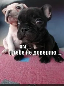 Просування сайту самостійно сайту