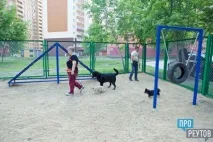 прореутов