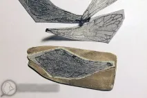 dragonfly процесът