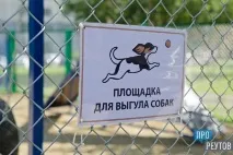 прореутов