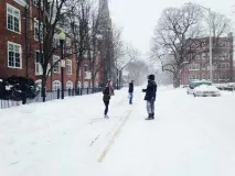 ученика