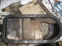 против През лятото