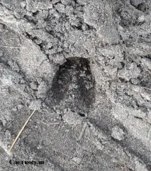 парк