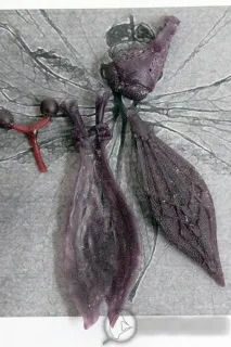dragonfly процесът