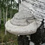 ростуть