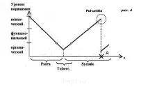 Розбір випадку Вітулкас - Фосфор - Гомеопатичний форум розбір
