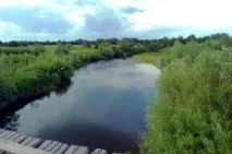 сінара
