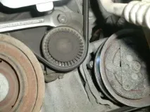 kangoo kangoo