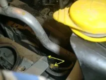 kangoo kangoo