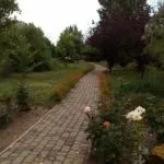 Рибаківка бази відпочинку, Пансіонат Чорномор, недорогий відпочинок відпочинку