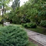 Рибаківка бази відпочинку, Пансіонат Чорномор, недорогий відпочинок бази