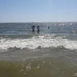 Рибаківка бази відпочинку, Пансіонат Чорномор, недорогий відпочинок відпочинку