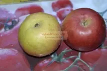 трояндочки