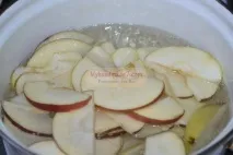 трояндочки